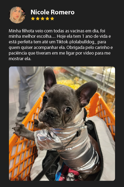 Prancheta 1