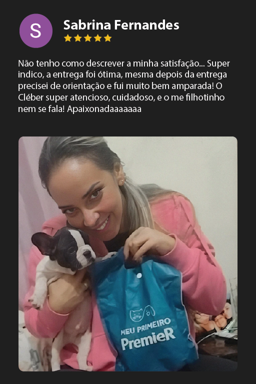 Prancheta 11