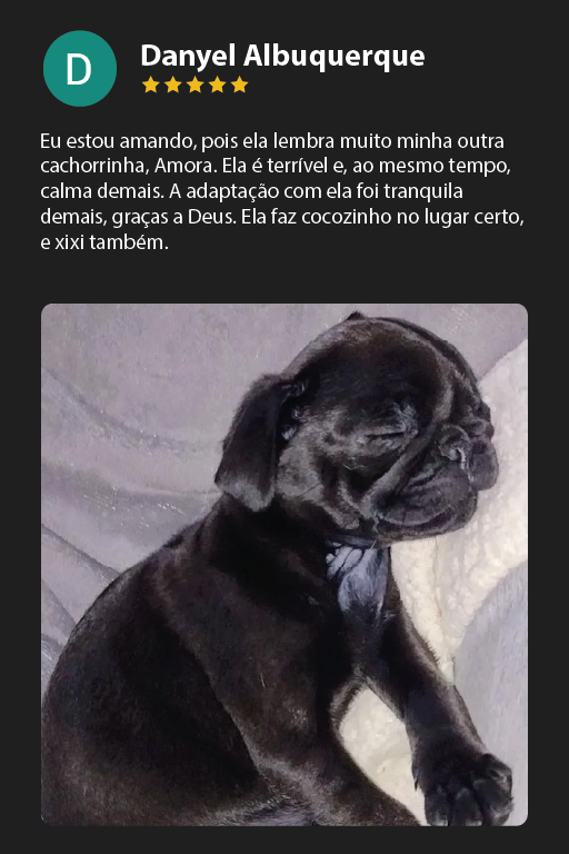 Prancheta 12