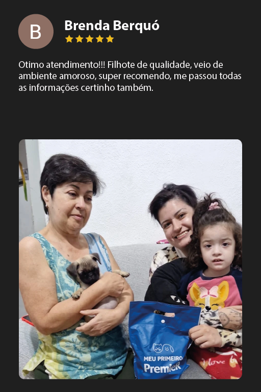 Prancheta 7