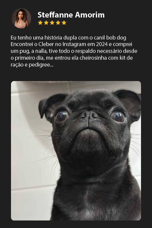 Prancheta 17