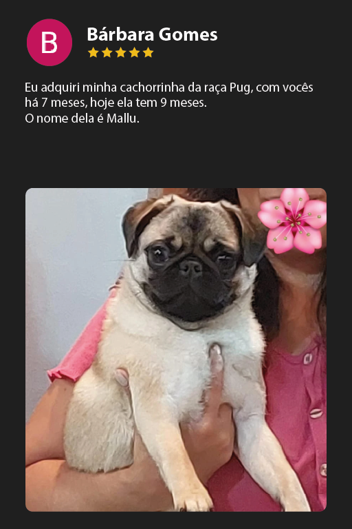 Prancheta 27